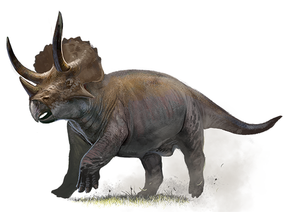 triceratops without horns