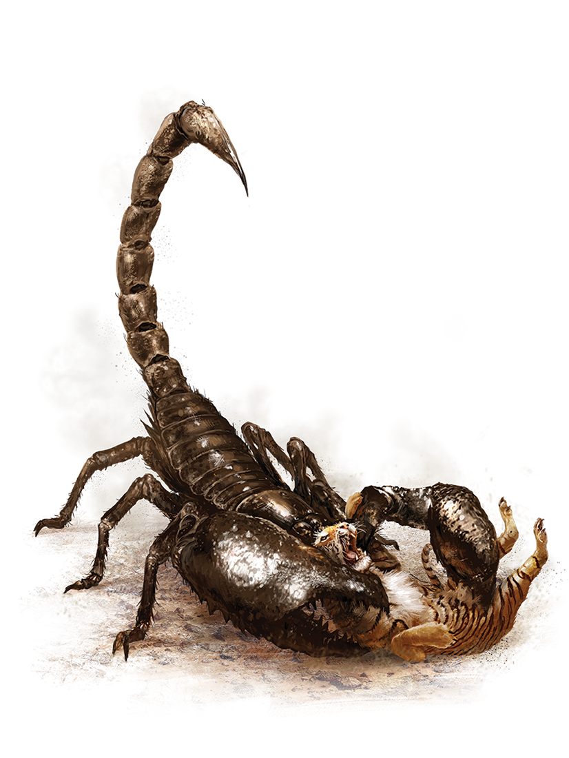 Deserto dos Ancestrais - País do Vento  Scorpion_GiantScorpion