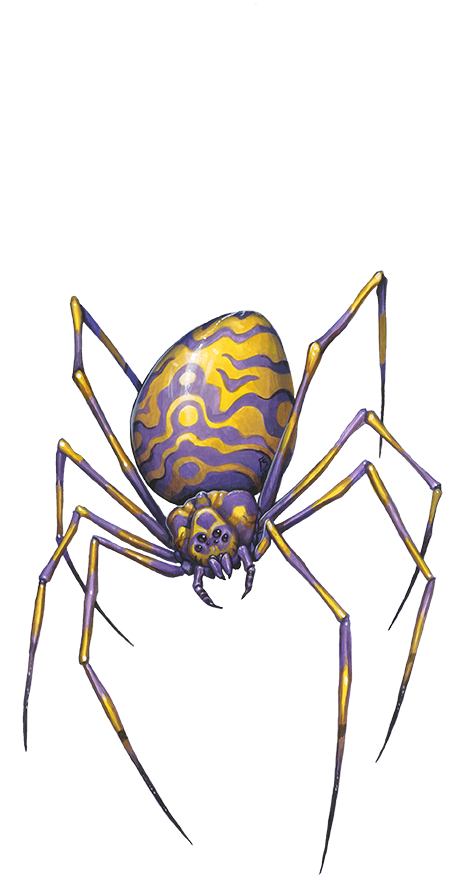 蜘 蛛 大 小 不 一.但 在 通 常 来 说 都 是 有 毒 的. 蜘 蛛 Spider. 梦... 以 下 内 容 来 自 B2. 