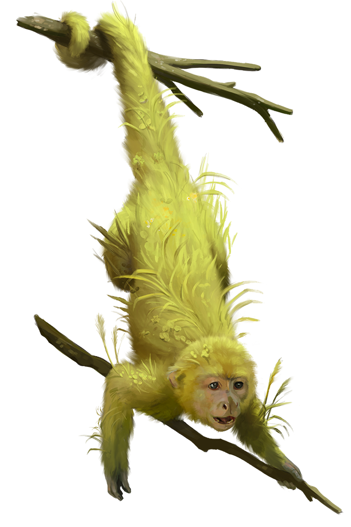 Green Monkey Monsters Archives of Nethys Pathfinder 2nd Edition