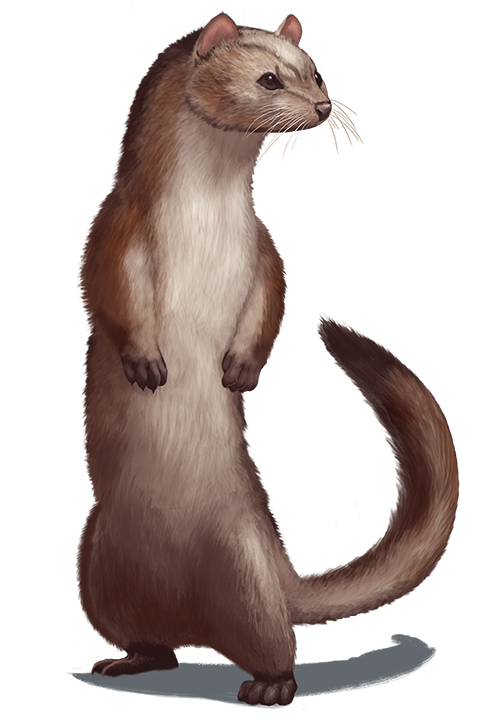 Humanoid Weasel Best Sale | blog.websoft9.com